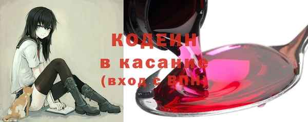 прущие грибы Горно-Алтайск