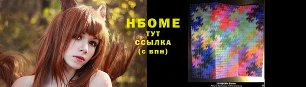 прущие грибы Горно-Алтайск