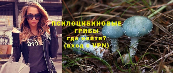 прущая мука Горняк