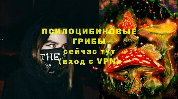 скорость Горнозаводск