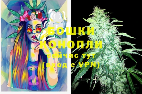 тгк Вяземский