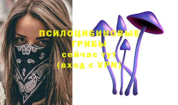 мяу мяу мука Вязьма