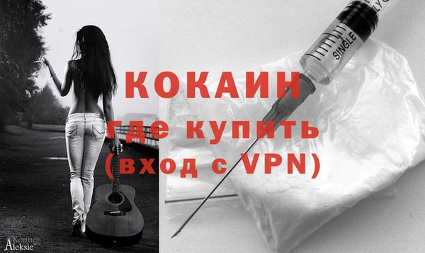 прущие грибы Горно-Алтайск