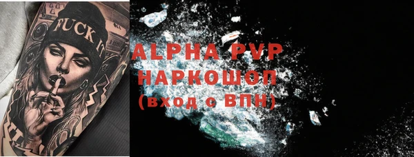 прущие грибы Горно-Алтайск