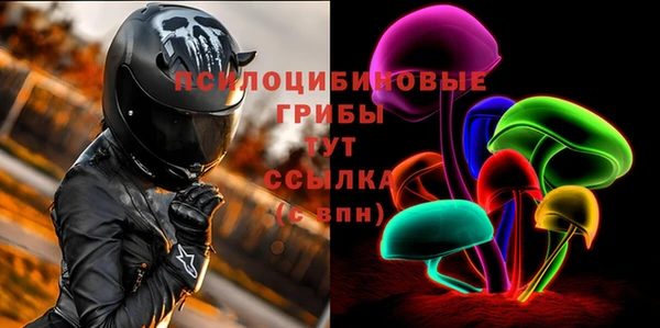 прущие грибы Горно-Алтайск