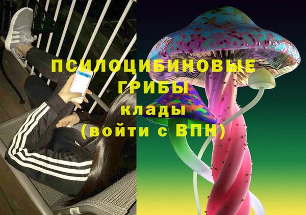 прущие грибы Горно-Алтайск
