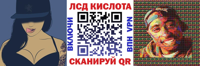 купить закладку  Змеиногорск  Наркотические марки 1500мкг 