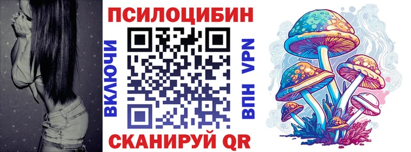 Галлюциногенные грибы мицелий как найти закладки Змеиногорск